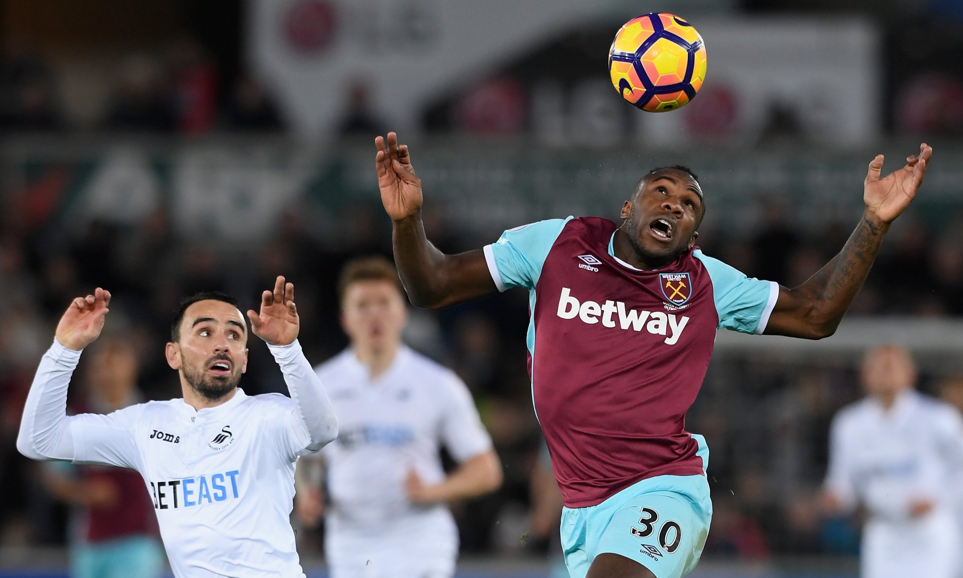 由市场上也 由市场上也